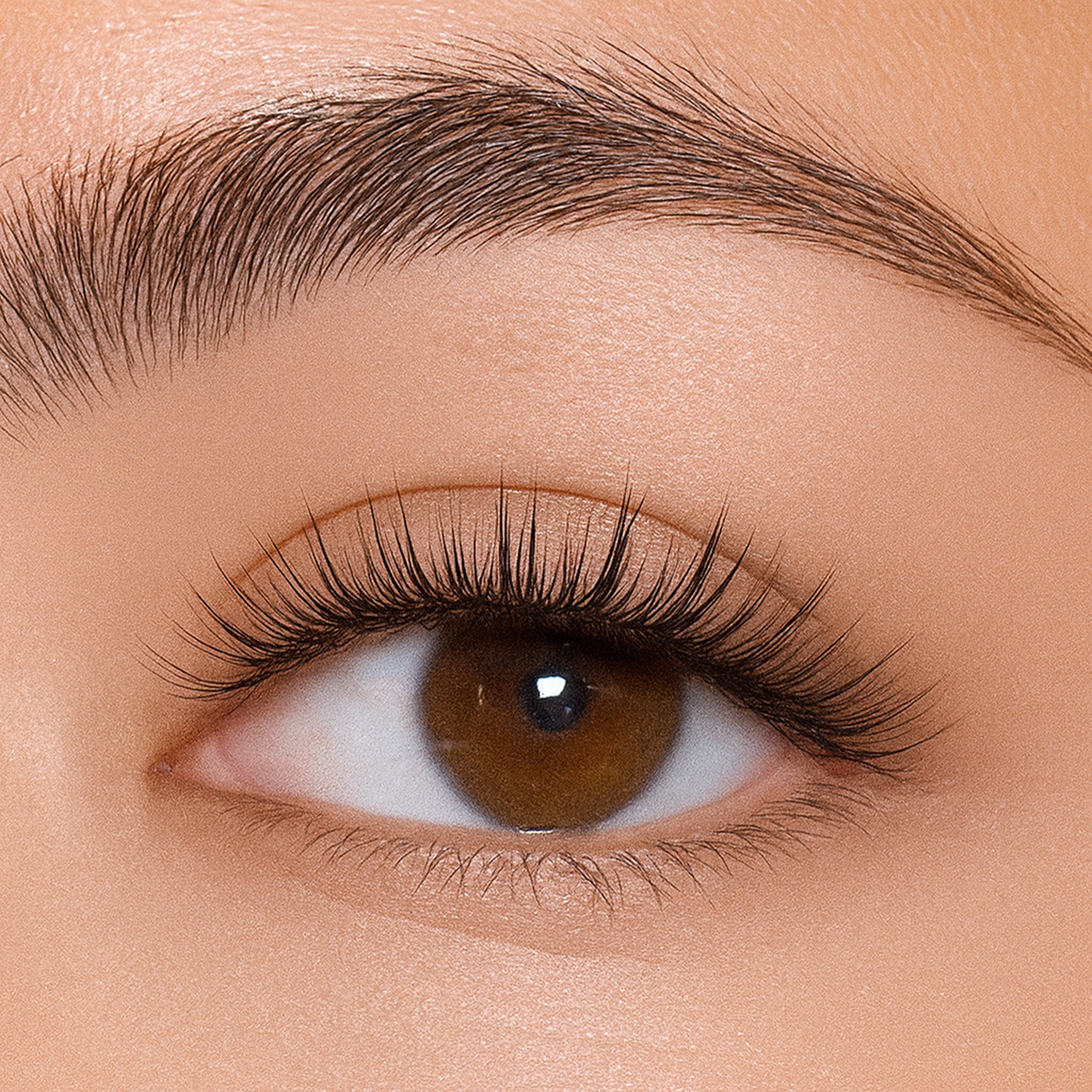 STELLA Silk Hybrid Lashes, Delicate & Dimensional